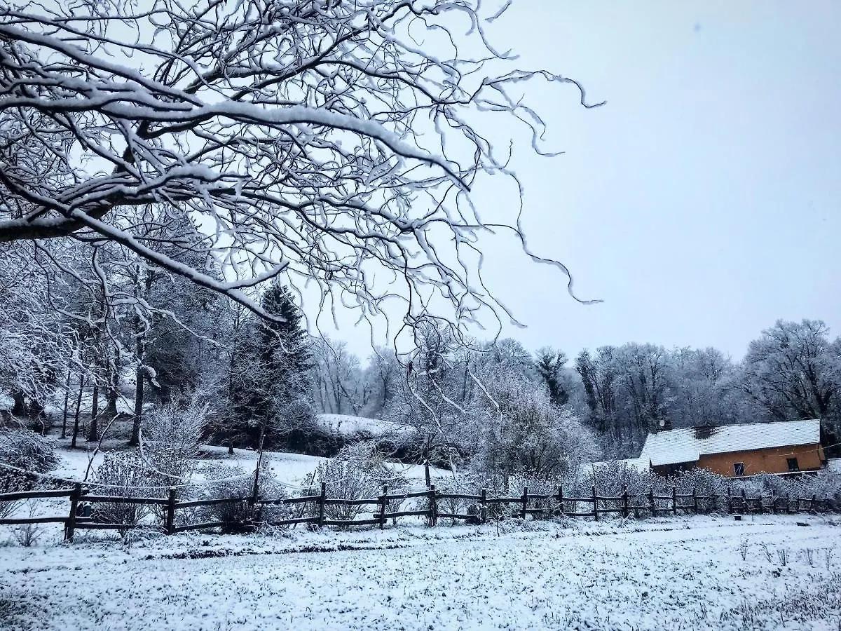 Le Mas De Planaise Saint-Jean-d'Avelanne France